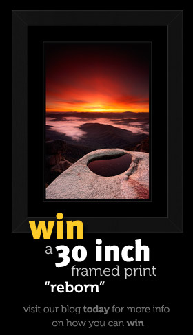 WIN a framed 30 inch print of 'Reborn'! - Please visit our Blog for details.