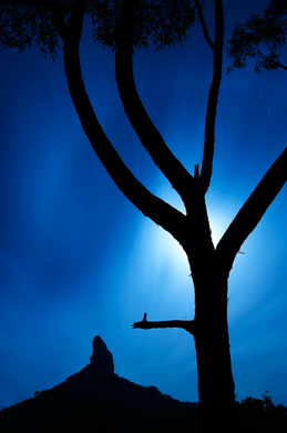Preview for Moonlit Coonowrin