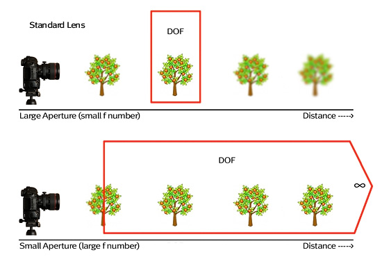 What is a Tilt Shift Lens? (How and Why to Use One)