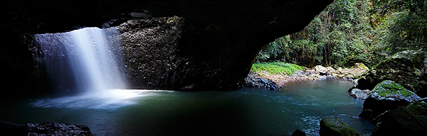 Natural Bridge, Glow Worm Cave