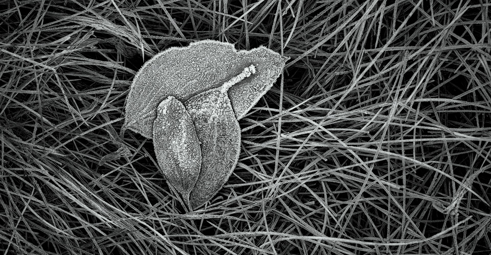 _BZY1462_B&W_4x5-copy.jpg