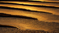 Ripples
