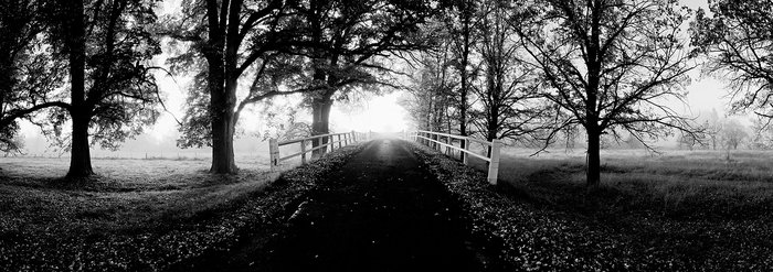 The Gostwyck Bridge