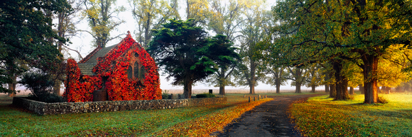 Preview for Foggy Gostwyck Sunrise