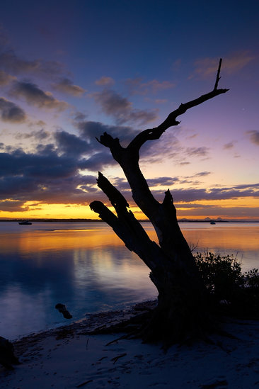 Bribie Silhouette