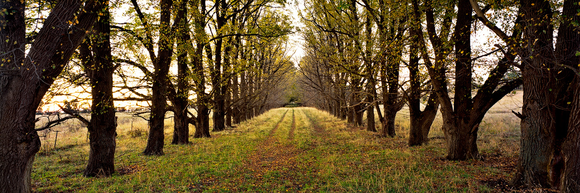 Preview for Armidale Driveway