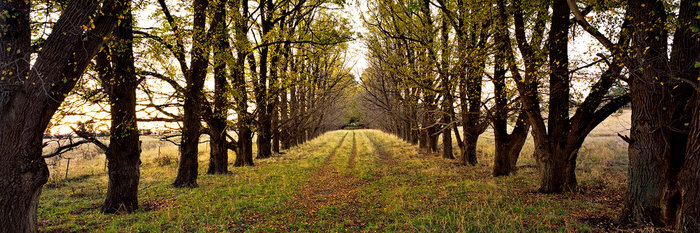 Armidale Driveway