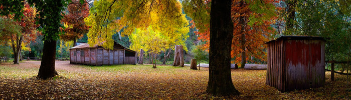 Autumn Retreat