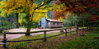 Autumn at Pickering's Hut