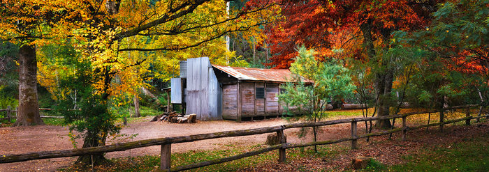 Autumn Solitude