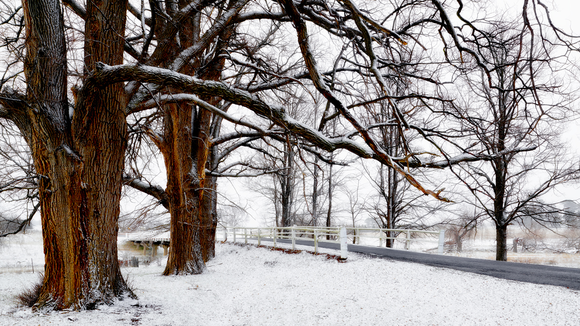 Preview for Munsie Bridge in Snow