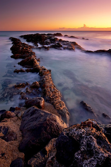 Snapper Rocks Sunrise 2