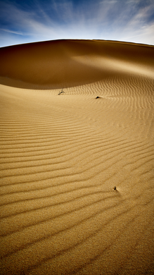 Preview for Desert Sands