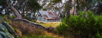 Wallace Hut 2019