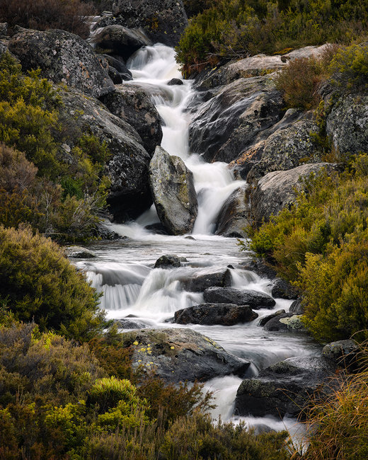 Falls Creek Mountain Stream